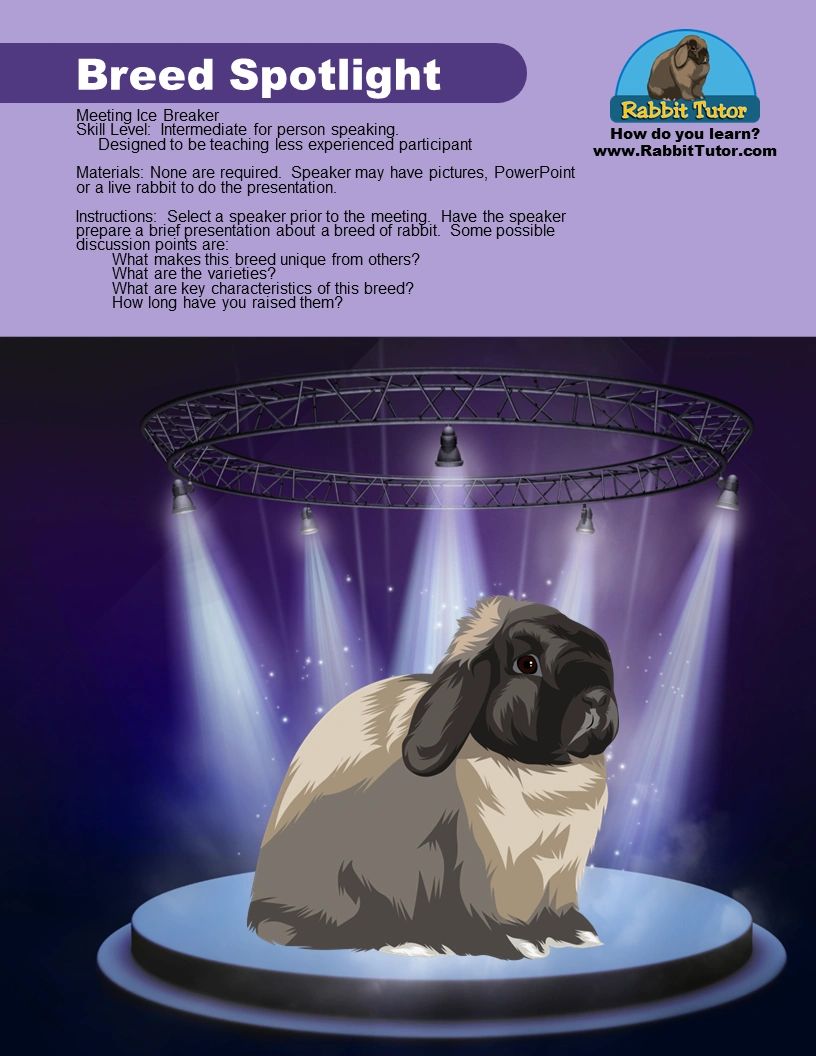 Rabbit Tutor showmanship downloads